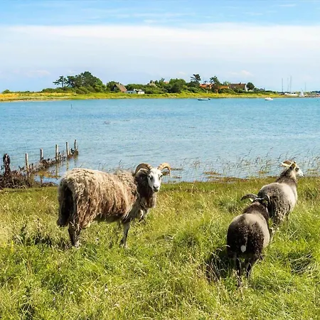 펜션 20414-samso-strandvejen-63 *