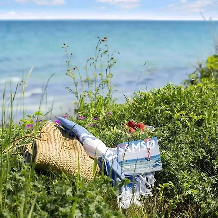 20414-samso-strandvejen-63 度假居 *